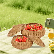 Storage Basket with Lid, Imitation Rattan Baskets with Lid, 2Pcs Storage Baskets
