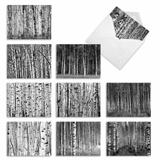 10  All Occasion Blank Cards Assortment - WHITEWOODS M6451OCB
