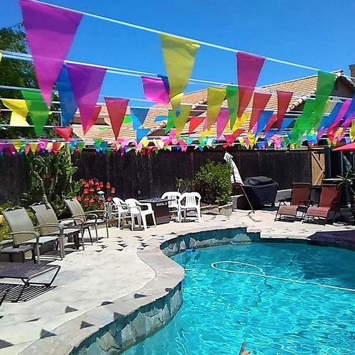 100 M Colorful Triangle Flag Pennant String Banner Festival Party Holiday-Decor - Picture 9 of 24