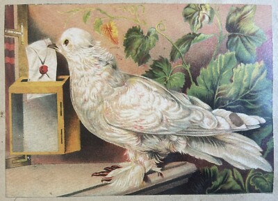 Antique Scrapbook Page, Werner Bros, Floral Baskets, Cherubs