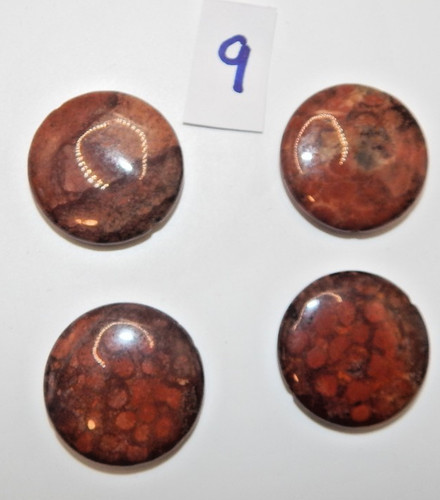 Fossil Coral 30mm Smooth Coin Pendants (4 pendants)(9)