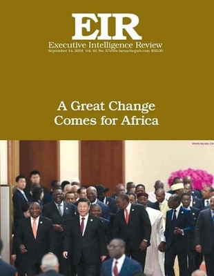 A Great Change Comes for Africa: Executive Intelligence Review; Volume 45, Issue