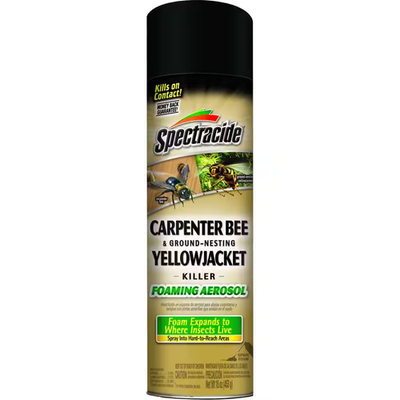#ad 16 oz Aerosol Carpenter Bee amp; Ground Nesting Yellow Jacket Killer Foam $10.37