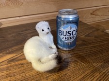 New Weasel On Wood Base Taxidermy. Man Cave Decor