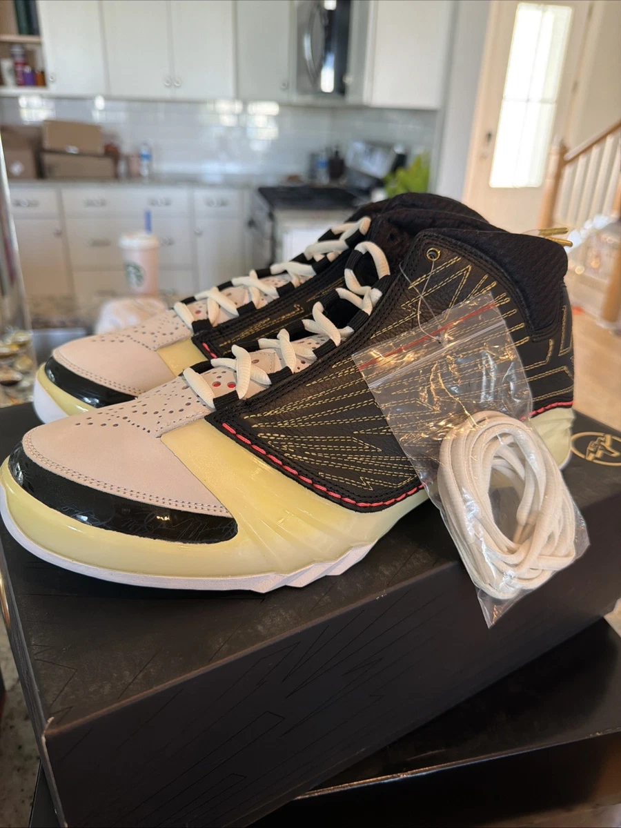 シューズ(男性用) Air Jordan 23 RETRO SP Titan x Air Jordan 23 Retro SP 10th Anniversary for Sale