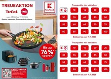 200  Punkte &bull; TEFAL &bull; EMSA &bull; Kaufland &bull; Treueaktion