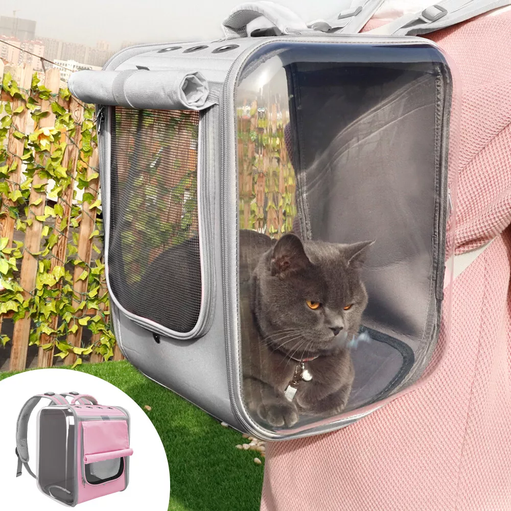Large sales cat backpack