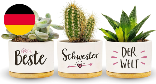 Beste Schwester Der Welt | Schwester Geschenk, Geburtstagsgeschenk | Kräutergart