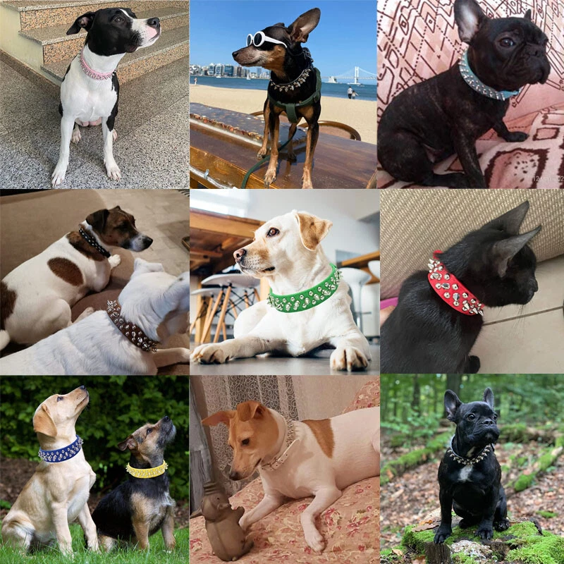 Classic Spiked Studded Rivet Dog Collar Adjustable Soft Leather Puppy Cat Collar - Image 2 of 4