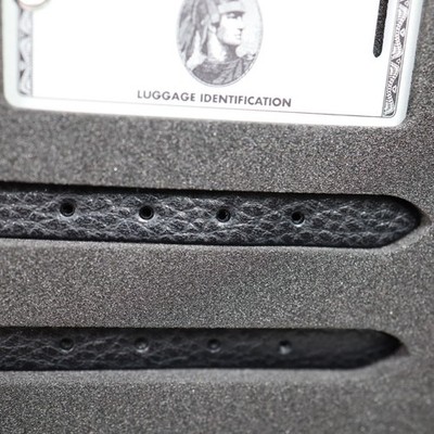 New American Express Platinum card holders limited Luggage Name