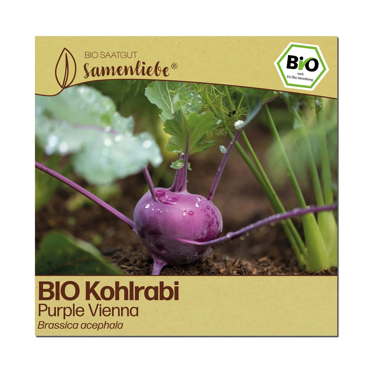 Bio Saatgut online kaufen | eBay.de