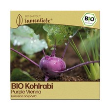 BIO Kohlrabi Samen Sorte Purple Vienna Gemüsesamen BIO Gemüse Saatgut samenfeste