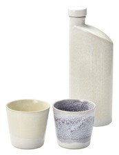 Shigaraki Ware Pottery earthenware Negative ion Bottle&pair cup set in Japan New