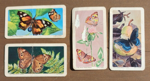 1965 BROOKE BOND/RED ROSE TEA 4 VINTAGE BUTTERFLIES OF NORTH AMERICA CARDS RARE - Picture 1 of 2