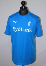 Denmark national handball team training blue shirt Puma Size M