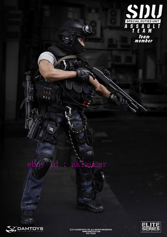 Damtoys 1/6 Dam78026 Sdu Special Duties Unit Assault Team - Member
