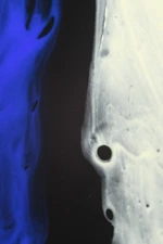 fine art photography.abstract painting,prints.