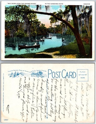 Way Down Upon The Suwanee River Florida Postcard