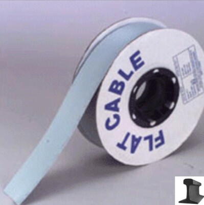 RR-CirKits ~ CAB-10×100 ~ 10 Conductor Flat Ribbon Cable 100  28 AWG