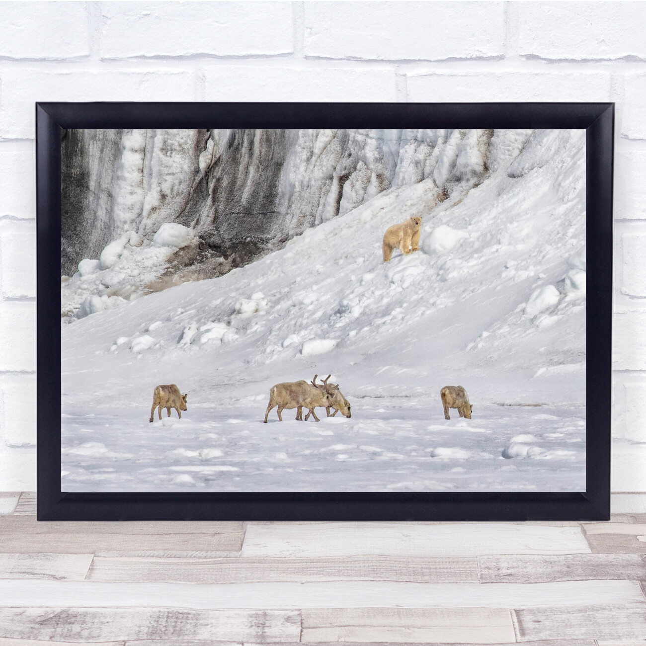 Landscape Polar Bear Arctic Norway Reindeer Glacier Reindeers Wall Art Print