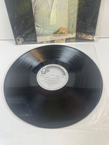DAVID CASSIDY : CHERISH * ORIGINAL OZ PRESSING VINYL BELL RECS. 2308023 * 1972 - Foto 6 di 8