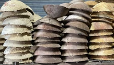 Box Elder, Walnut Or Beetle Kill Pine rough turned bowl 6"