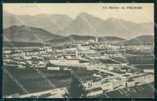Belluno Feltre Panorama cartolina VK3962