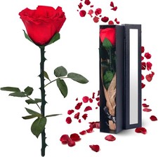 YAMPP Preserved Real Rose Flower Gift Box for Valentine's Mother's Day Birthday