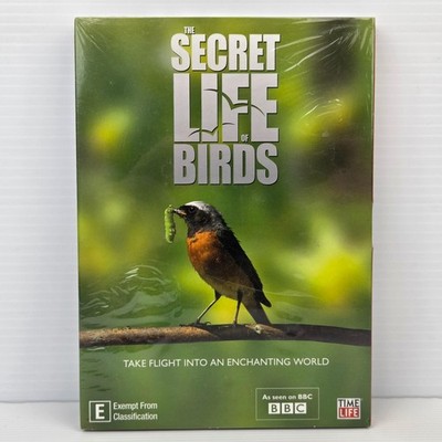 The Secret Life of Birds Complete Series DVD Iolo Williams BBC Documentary Reg 0