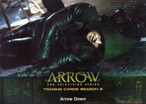 Arrow Season 2 Individual Trading Cards - Picture 25 of 72