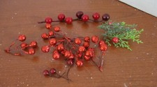 Small Lot of RED BERRIES FLORAL PICKS