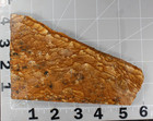 Picture Jasper  Slab - 165 Grams - Lapidary - Crafts - Display - Intense — photo 2