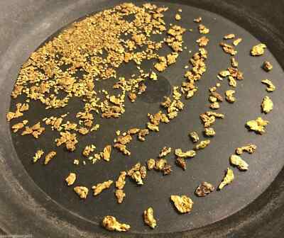 Gold Paydirt 2 lbs 100% Unsearched & Guaranteed Added Nugget GOLD - BUY 5 GET 10
