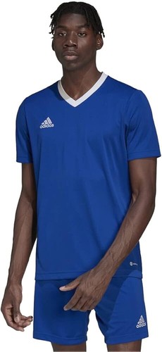 ADIDAS PERFORMANCE AEROREADY ENTRADA original 2021 FOOTBALL SHIRT JERSEY SIZE MT - Picture 5 of 5