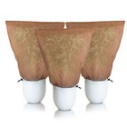 3er Set XL Winterschutz Kübelpflanzensack 80 x 100 cm BRAUN Wintervlies Schutz