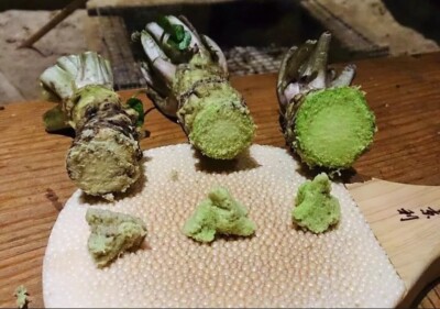 5 Japanese Wasabi Root Seeds for Planting - Wasabia japonica | eBay