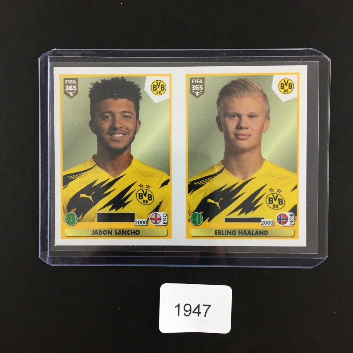 Erling Haaland Sancho Rookie RC Sticker Panini Fifa 365 2020 Erling Haaland Sancho Rookie RC Sticker Panini Fifa 365 2020
