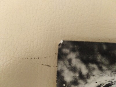 【NWOBHM】Sweet Savage / Take No Prisoners NWOBHM】Sweet Savage / Take No Prisoners