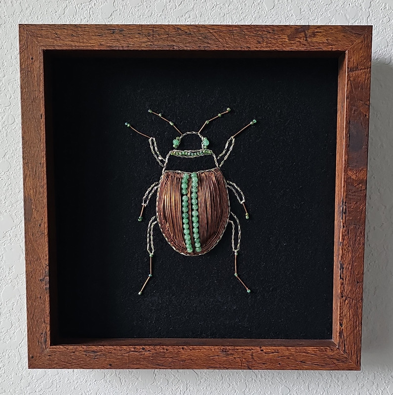 Handmade Beetle Framed Wall Art Wood Shadow Box Display Frame Decor Gemstone