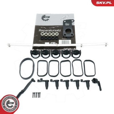 49SKV506 ESEN SKV repair kit, intake manifold module for Chrysler, Mercedes-Benz