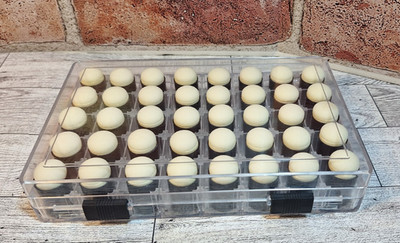 40Pcs Finger Sponge Daubers with Storage Box for Painting Chalk Ink Card Drawing