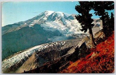 Postcard Mount Rainier Snow Nisqually Glacier Washington