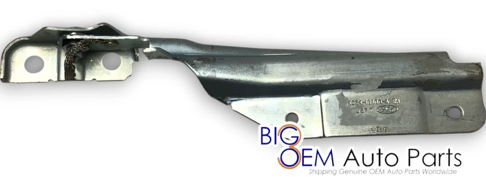 Ford Serie E 1992-2025 furgoneta lado pasajero bisagra capó derecho nuevo OEM 8C2Z-16796-A Foto 4 de 4