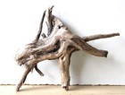 Treibholz Schwemmholz Driftwood 1 Wurzel Dekoration Terrarium 25 cm hoch