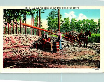 Sugar Cane Mill Down South North Carolina Postcard Unused (25113)