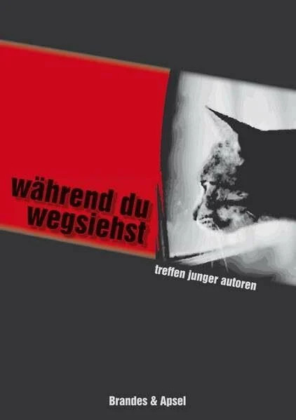 Während du wegsiehst: Treffen Junger Autoren 2008. Buch Brandes & Apsel - Pohle, Barbara T