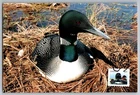 Canada 2012 Wildlife Loon FDC Maxi Card w/Pictorial Cancel