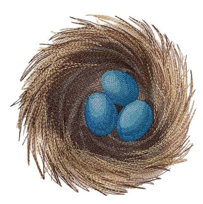 Beyond Vision Custom Bird Realistic Robin's Nest Embroidery Iron On/Sew patch (7