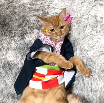 Anime Nezuko Kamado Small Dog Cat Clothes Pet Costume | eBay