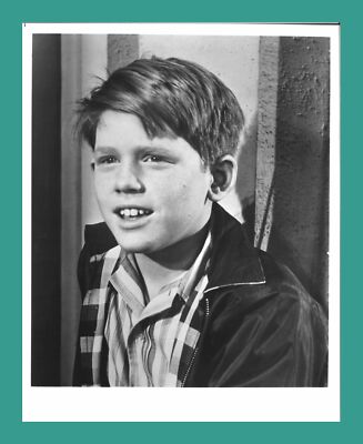 RON HOWARD | Starportrait | Andy Griffith Show Echtphoto 25 x 20 cm | neu